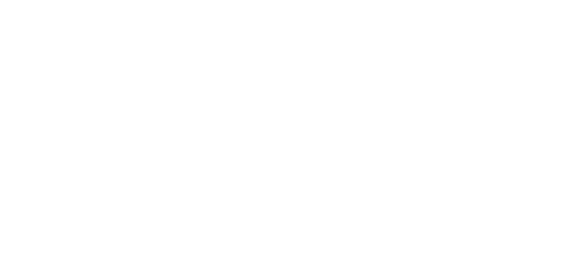 Leos Media & Interactive