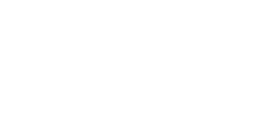 Leos Media & Interactive